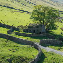 Old barn and walls, Hayeswater