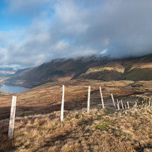 Steel Fell fenceline