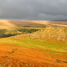 Dartmoor panorama