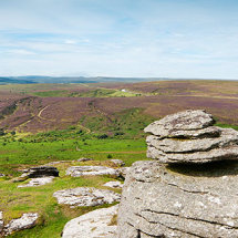 Birch tor