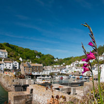Polperro Harbour