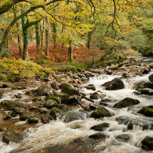 River Meavy