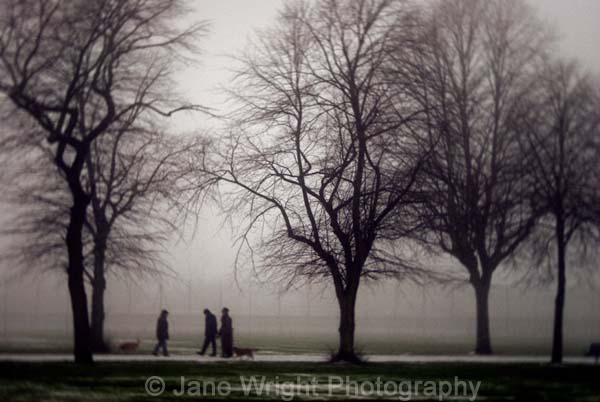 A foggy morning meeting