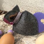 Lesser known, purple bushy tail, slate grey squirrel
