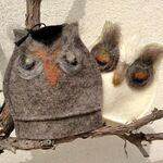 2 wise owls
