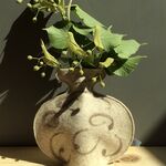 No 3 - Oat coloured vase with mocha swirls