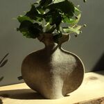 No 3 - Reverse side of mocha swirl vase