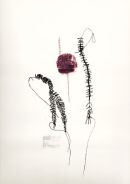 Natural Harmonies ( Wabi Sabi )