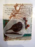 wagtail card
