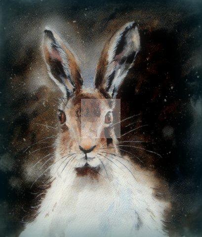 hare, moonlit, fine art, painting, watercolour, watercolor, giclée, contemporary