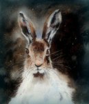 'Moonlit' £80 hare, moonlit, fine art, painting, watercolour, watercolor, giclée, contemporary