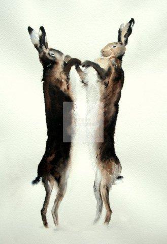 Boxing Hares
