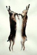 Boxing Hares