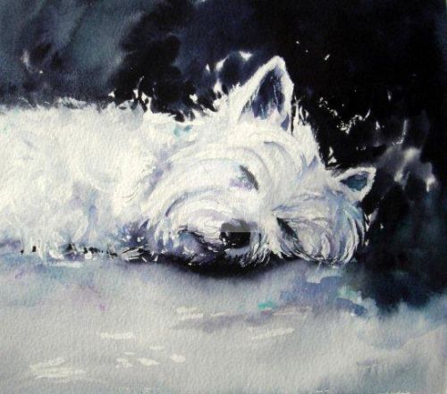 West highland, terrier, dog, dog lover, painting, contemporary, art, fine, watercolour, watercolor