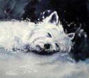 West Highland Terrier Asleep