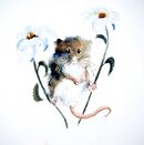 'Between Two Daisies' Greeting Card £1.75 card for her, mother, mum, sister, aunt, daughter, in law, wife, cute, mouse, flowers, happy birthday, get well soon, thank you, notelet, greetings, friend, love, watercolor, fine art,funny, blank inside, large, square, quality