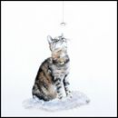 Dropping By £1.75 Happy birthday, card for him, her, friends, funny, cat, love, friendship, thank you, get well, blank inside, cute, animal, large square, watercolor, fine art