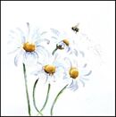 'Bee’ Greeting Card £1.75 Bee, contemporary birthday card, blank inside, flowers, for her, wife, daughter, sister, mum, mother, large, quality, greetings card, fine art, watercolor, square, large, for sale, buy, get well, friend, best wishes, thank you, beautiful, cute,