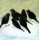 Blackbirds £1.75 blackbirds, birds, garden, quirky, funny, contemporary, birthday, celebration card