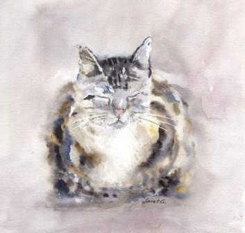cat, tabby, watercolour, fine art, print, giclee, contemporary, cute, watercolor, pet