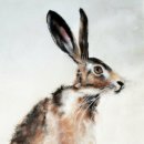 'British Brown Hare' Greeting Card £1.75
