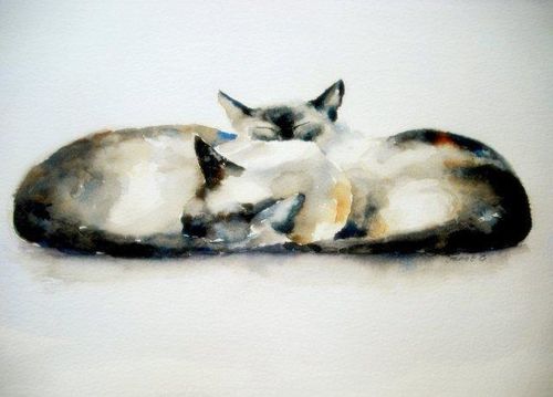 Burmese, cats, chocolate, cute, siamese, pet, animals, birthday, greeting card, watercolour