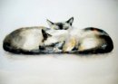 Sleeping Partners (Burmese)