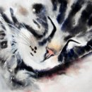 'Cat Nap' Greeting Card £1.75 cat, tabby, cute, greeting, card, watercolour, birthday, celebration, anniversary, art, birthday