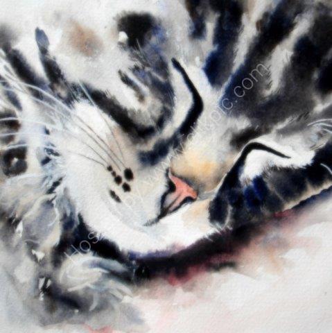 'Cat Nap' Greeting Card £1.75