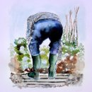 'Cheeky' Greeting Card £1.75 greeting, card, watercolour, birthday, celebration, quirky, funny, gardening, male, men