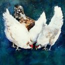 'Chicken Feed' £75 chickens, print, farmyard, farm, cute, art, giclee, contemporary, watercolour, watercolor