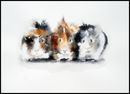 Guinea Pigs Giclée Print £67 guinea pigs, giclée, print, watercolour, cute, beautiful, art, fineart, animals, pets, sister, daughter, aunt