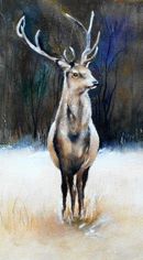 Majestic stag, wildlife, watercolour, game, art, animals