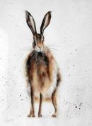 'Spotted' £395 hare, watercolor, watercolour, art, wildlife, contemporary, art, painting, original artwork, contemporary design, quirky artwork