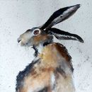 Hare from Behind £295 hare, art, watercolour, wildlife, animals, watercolor, painting, original