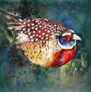 The Hedgerow £295 Pheasant, beautiful original fine art watercolour painting, birds, shooting, sport, framed, hedgerow, watercolour, wildlife birds, sporting enthusiast, artwork, painting,
