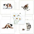 10 Fine Art 'Cutie' Luxury Greeting Cards £14.95 BEST SELLER birthday cards, multi pack, thank you, gift, card for her, wife, mum, mother, dad, Greeting Card, art, love, friendship,rother,