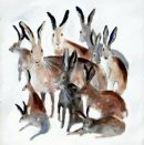 'Frolics' Greeting Card £1.75