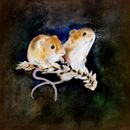 Two Mice £1.75 greeting card, happy birthday, countryside, field mice, cute mice, for wife, friend, large card, blank inside, watercolor, art card