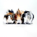 'Guinea Pigs' Greeting Card £1.75