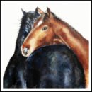 'Horses' Greeting Card £1.75 greeting, card, watercolour, horses, birthday, celebration, anniversary, animals