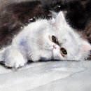 'Lazy Days' Greeting Card £1.75 persian cat, cute, greeting, card, watercolour, birthday, celebration, anniversary, art, birthday