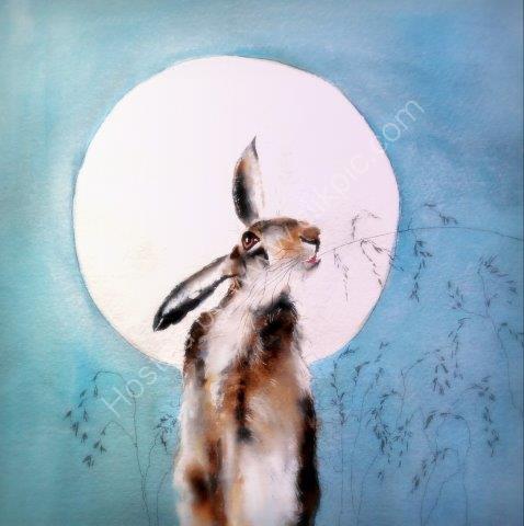 'Mystic Hare' Greeting Card £1.75