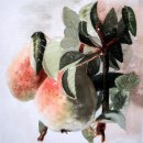 'Pears' Greeting Card £1.75 greeting, card, watercolour, birthday, pears, mother, celebration, anniversary