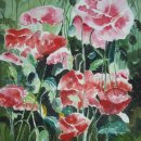 Poppy Field