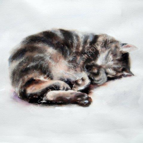 'Tabby' Greeting Card £1.75