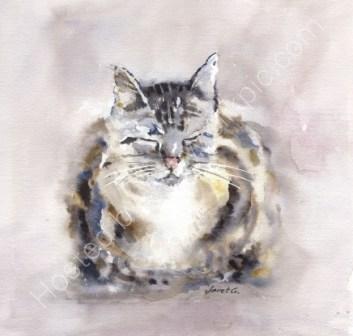 'The Cat' Greeting Card £1.75