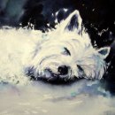 'Westie Asleep' Greeting Card £1.75