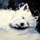 'Westie Asleep' Greeting Card £1.75 greeting, card, cute, dog, westie, terrier, art, westhighland terrier, blank inside, watercolour, birthday, celebration, anniversary, art, birthday