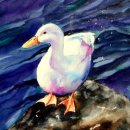 'Wet Feathers' Greeting Card £1.75